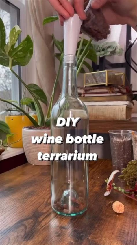 Awesome bottle terrarium | Bottle terrarium, Succulent terrarium ...