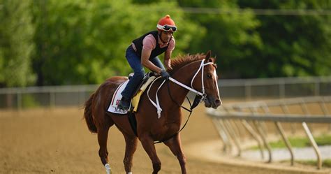 Preakness 2023 Post Positions: Predictions for Each Horse in the Lineup ...