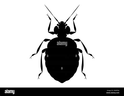 Black and White Bed Bug Clipart Stock Vector Image & Art - Alamy
