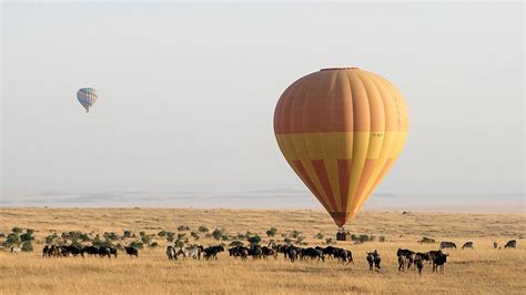 Masai Mara Hot Air Balloon Safari — Flight price, booking, tips and advice,