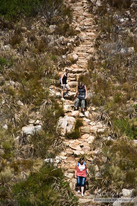 Hiking on Table Mountain | Cape Town Daily Photo