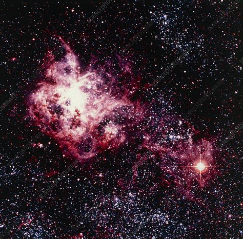 Optical view of Supernova 1987A & Tarantula nebula - Stock Image - R560 ...