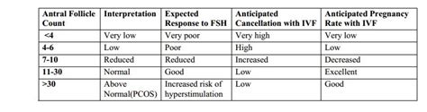 Antral Follicle Count