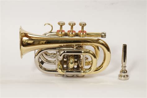 Golden Brass Pocket Trumpet, Weight: 2 at Rs 8000 in Meerut | ID ...