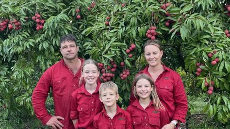 Lychee season kicks off in central Queensland – Australian Country Life