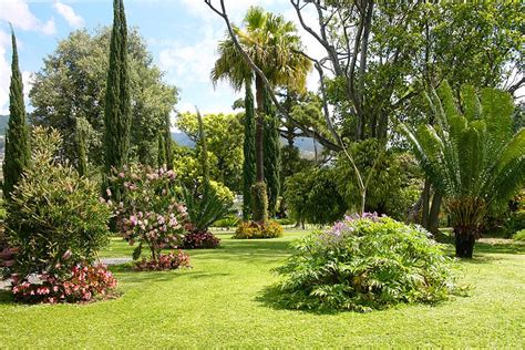 Quinta Jardins do Lago Photo Gallery Funchal, Tableaux Vivants ...