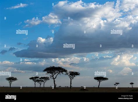 Kenya, Masai-Mara game reserve, clouds Stock Photo - Alamy