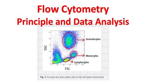 Flow Cytometry Diagram