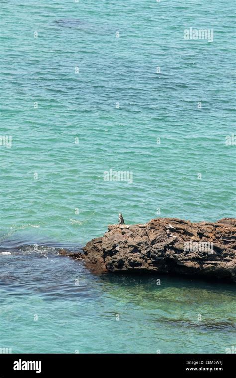 Bartolome Island, Galapagos. Bartolome Island is a volcanic islet in ...