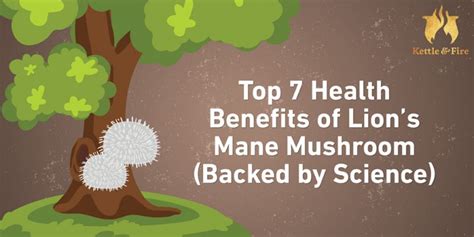 Top Benefits of Lion’s Mane Mushroom (Backed by Science)