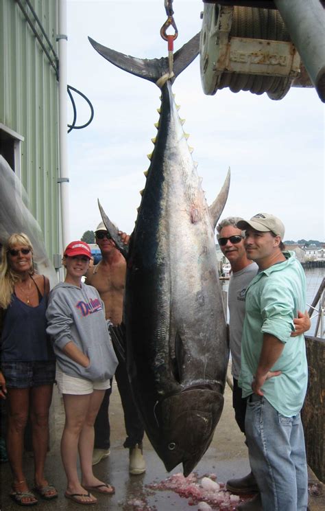 Bluefin Tuna Fishing Charters Gloucester - Cape Ann MA