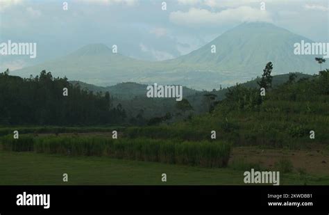 Rwanda congo border Stock Videos & Footage - HD and 4K Video Clips - Alamy