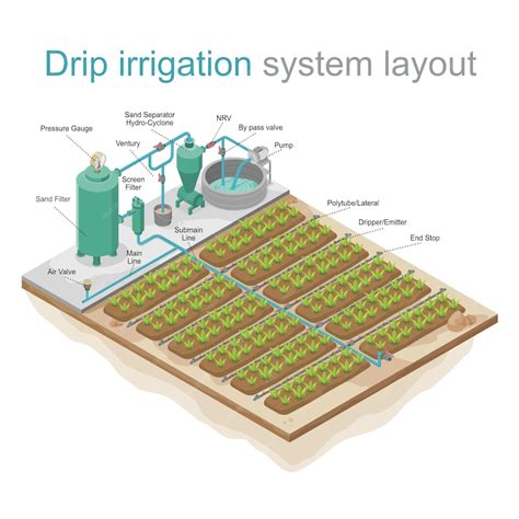 Premium Vector | Drip irrigation system layout isometric cartoon