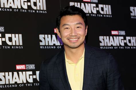 'Shang-Chi' Star Simu Liu Was Once a Stunt Double for This Fall Out Boy ...