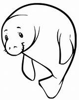 Simple Manatee Coloring Page  Free Printable Coloring Pages For Kids sketch template