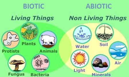 Three Factors That Can Be Used to Describe a Habitat - SydneykruwOchoa