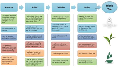 siamteas Lesson 8/5 : Black Tea Processing - siamteas