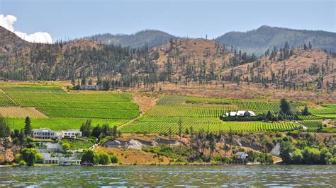 File:Kelowna Vineyards from the Okanagan Lake.jpg - Wikipedia