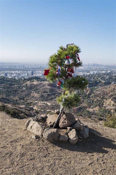 Christmas Decorated Tree in Griffith Park Trail Stock Image - Image of ...