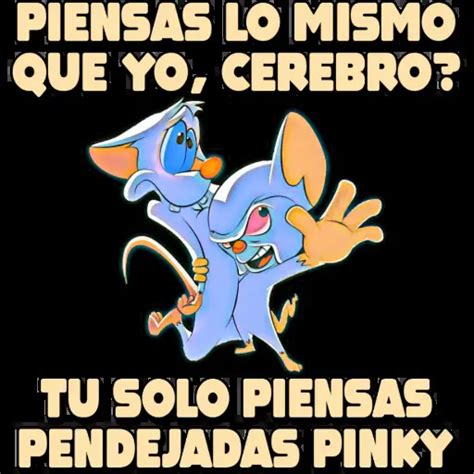 Pinky Y Cerebro Frases