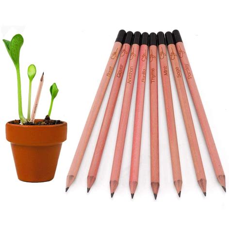 Ecolabel Black Plantable Seed Pencils, 10 Pencil, Rs 12 /pencil | ID ...