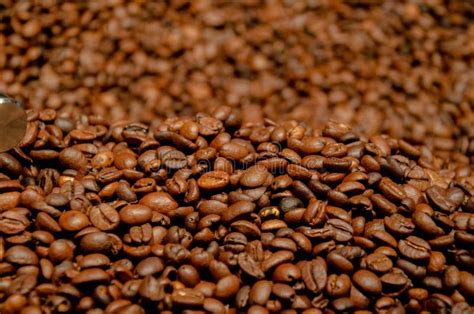 Roasted Coffee Beans Background Stock Photo - Image of falling ...