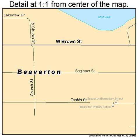 Beaverton Michigan Street Map 2606660