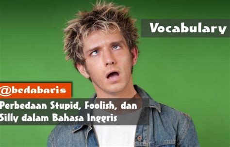Perbedaan Stupid dan Foolish dalam Bahasa Inggris Archives - Belajar Dasar Bahasa Inggris