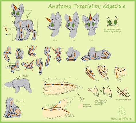 Pony anatomy tutorial (new)