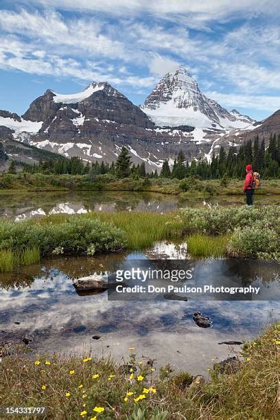 105 Meadow Lake Provincial Park Stock Photos, High-Res Pictures, and ...