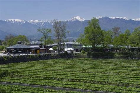 4 Great Japanese Farms | GoWithGuide