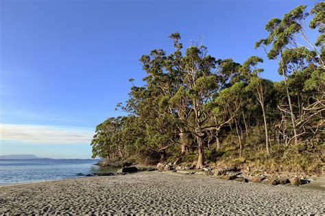 Landscape Of Tasmania Digital Art by Karel De Gendre