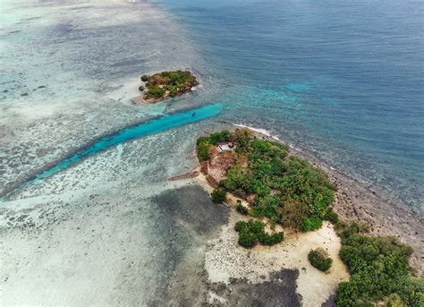 Black Coral Island – Pohnpei Eco-Adventure Guide