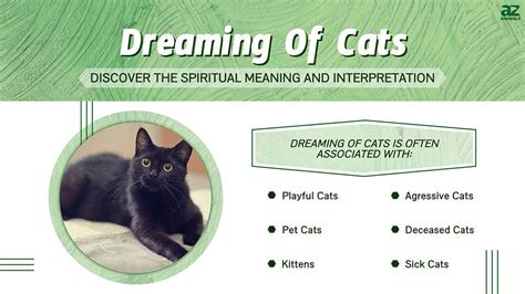 What Does It Mean To Dream About A Black Cat? - Catbyst