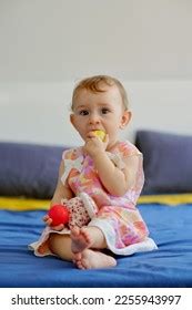 Little Girl Putting Plastic Toy Her Stock Photo 2255943997 | Shutterstock