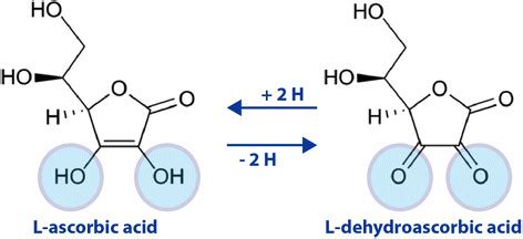 Redox Vitamin C - GideonecGalloway