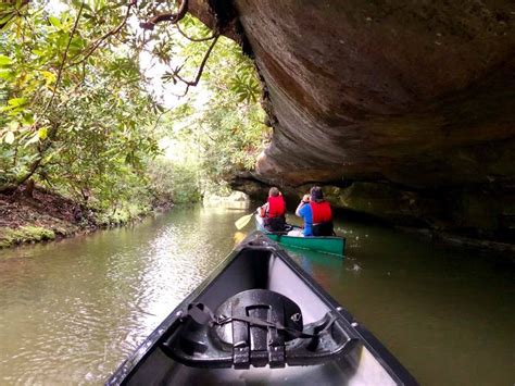 Afternoon Canoe Float-Pickett State Park-December 29, 2019 | Deer Creek ...