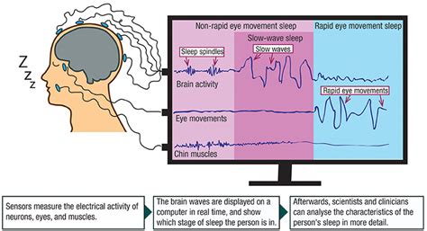 From ZZZs to AAAs: Why Sleep Is an Important Part of Your Study ...