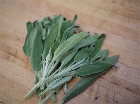 Roasted Asparagus Salad - Sage leaves | Rebecca Siegel | Flickr