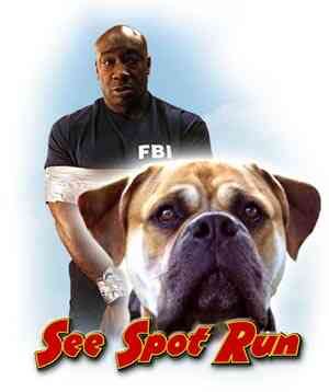 Watch See Spot Run in HD (2001) at moviesjoys.cc