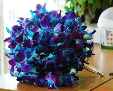 Bouquet Bridal: Blue Orchid Bouquets