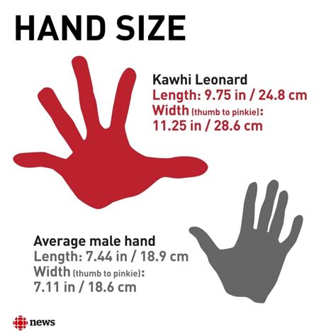 Kawhi Leonard Hand Size - Kawhi Leonard S Hands Makes Morning Nba Nba Daily Facebook, Luckily ...