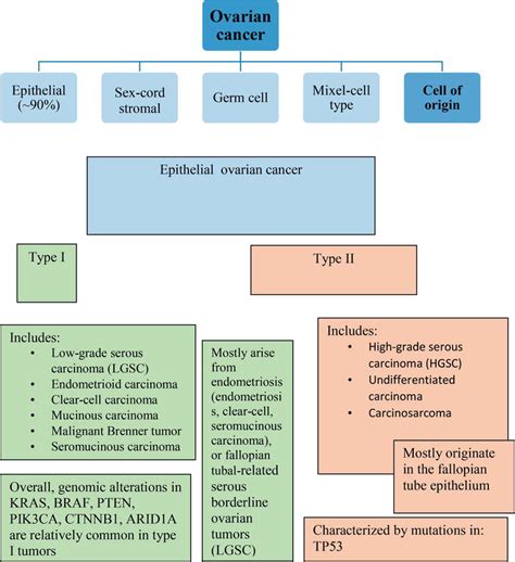 Ovarian Clear Cell Carcinoma: Metastatic Pathways | IntechOpen