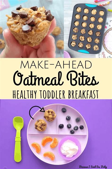 Healthy Toddler Breakfast, Picky Toddler Meals, Toddler Snacks, Kids ...