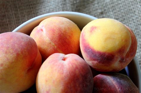 Fresh Peach Crisp Recipe | To & Fro