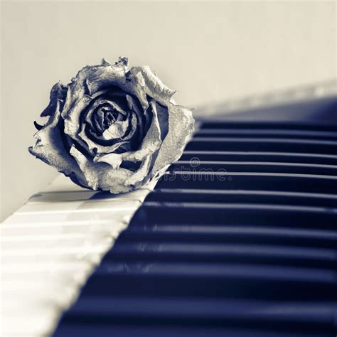 Thinking of you stock photo. Image of keys, black, chord - 48160712