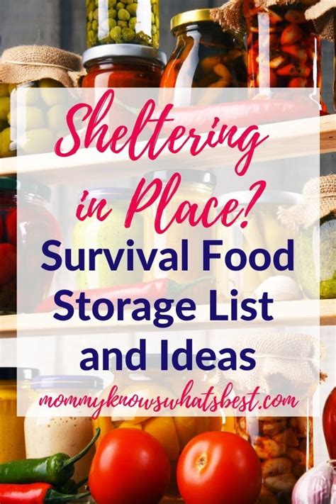 Pantry Essentials: Survival Food Storage List and Ideas | Survival food ...