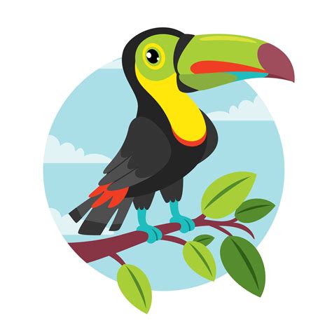 Cartoon Drawing Of A Toucan 13536941 Vector Art at Vecteezy