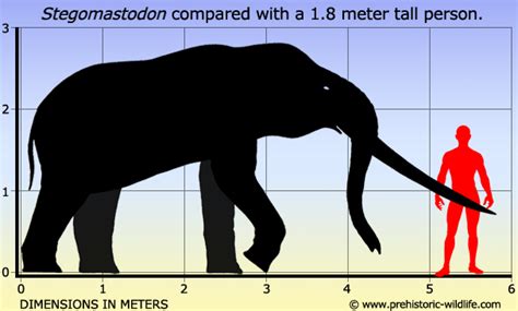 Блогът на valentint :: Encyclopedia Largest Prehistoric Animals Vol. 1 ...