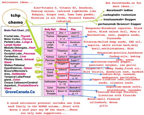 Different types of chemotherapy & what they are on the Grove Body Part ...